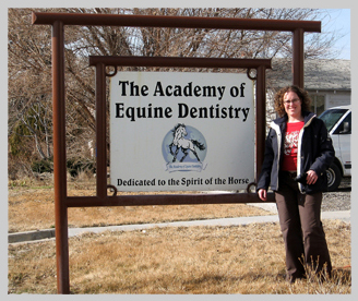 Paardentandarts Equidental Budel
